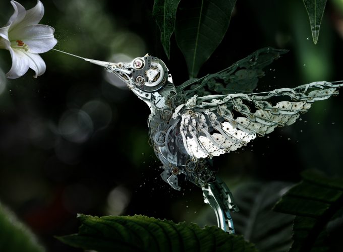 Wallpaper Hummingbird, Сolibri, steampunk, flower, leaves, green, drops, flying, bird, nectar, garden, nature, mechanical, Animals 2718715771